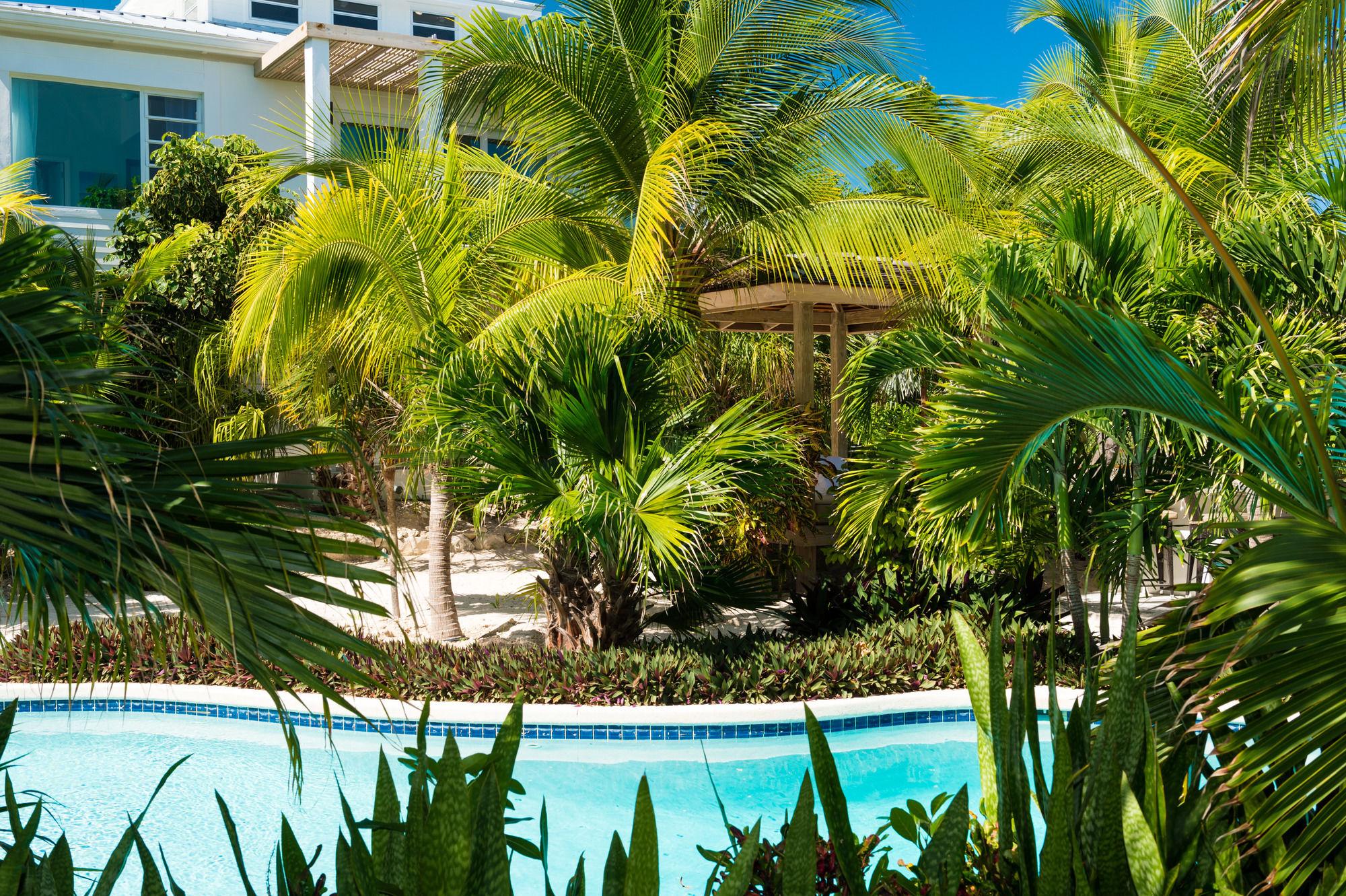The Oasis At Grace Bay Hotel Ngoại thất bức ảnh